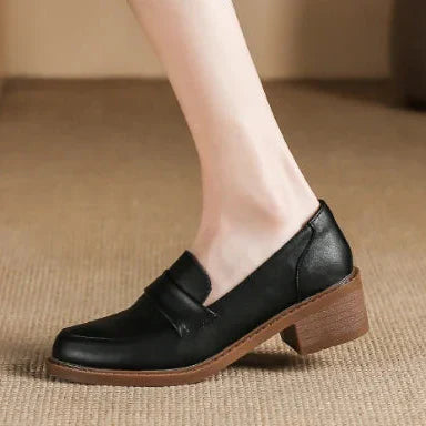 https://cdn.shopify.com/s/files/1/0909/1973/1504/files/S5e71f96c5c6a458aaec3eece469295fcT.webp?v=1739878851